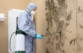 Best Attic Mold Removal  in Taft Mosswood, CA